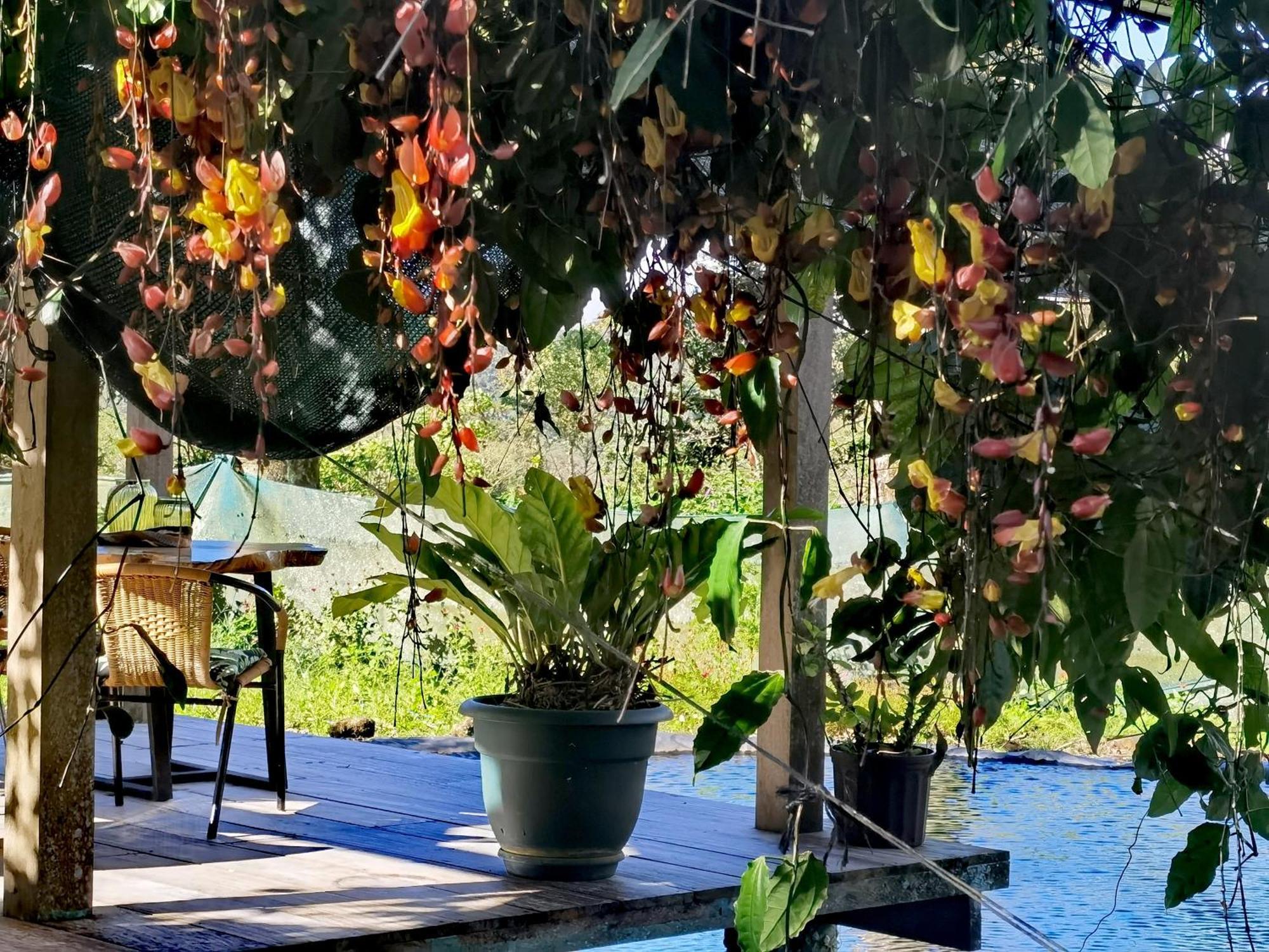 Greenhouse Loft Miravalles Aguas Claras  Exteriör bild